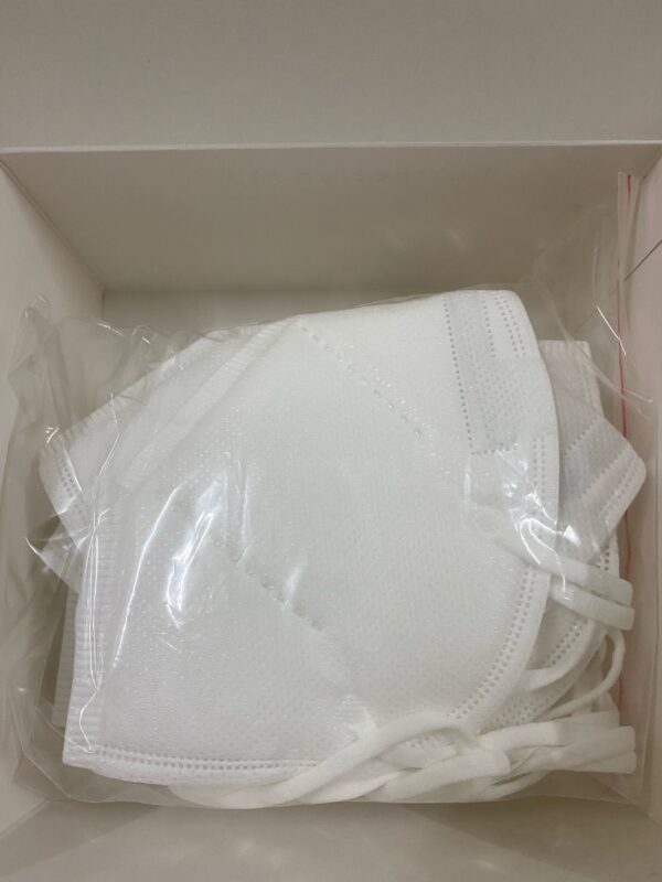 KN95 Protective Face Mask 10S